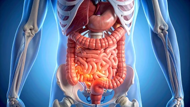 Hội chứng rò rỉ ruột: Dấu hiệu nhận biết, nguyên nhân và cách chăm sóc phù hợp