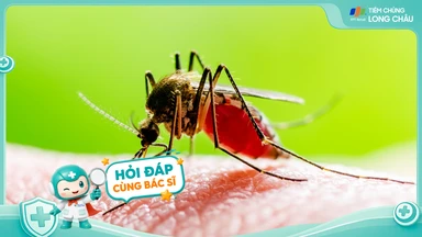 [Hỏi đáp] Người đang sống trong vùng dịch có nên tiêm vắc xin sốt xuất huyết không?