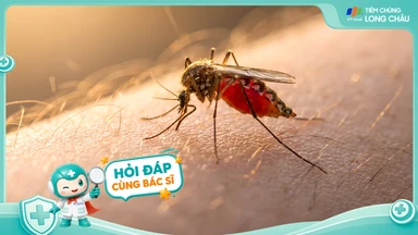 hoi_dap_bac_si_tai_sao_khi_da_bi_mac_sot_xuat_huyet_roi_khi_bi_mac_lai_thi_se_nang_hon_be0bf7f6e9
