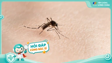 [Hỏi đáp] Tiêm sốt xuất huyết rồi có cần phòng muỗi đốt nữa không?