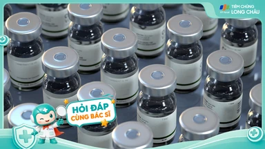 [Hỏi đáp] Vắc xin sốt xuất huyết có phòng được cả 4 tuýp không?