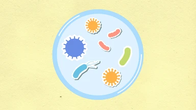 Nhiều vật dụng quen thuộc ở khu vui chơi có thể tiềm ẩn virus, vi khuẩn