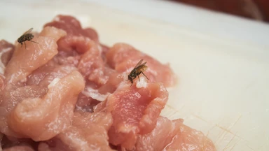 Hơn 130 tấn thịt lợn nhiễm dịch tả châu Phi tuồn vào sản xuất pate, đồ hộp