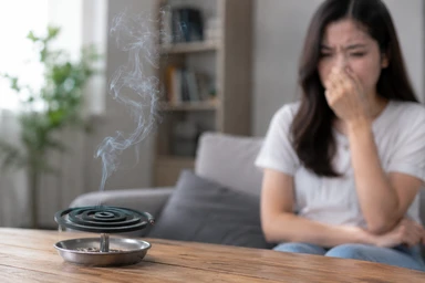 Hương muỗi có độc không? Bật mí cách sử dụng hương muỗi an toàn