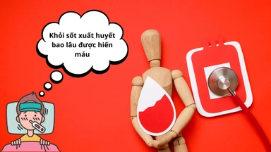 Khỏi sốt xuất huyết bao lâu thì được hiến máu? Điều kiện và lưu ý cần biết