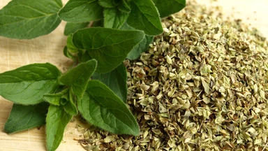 Lá oregano là gì? Công dụng đối với sức khỏe và những lưu ý khi sử dụng
