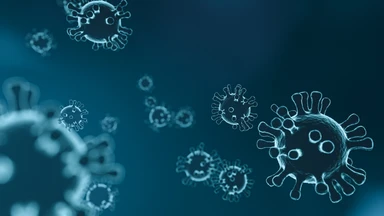 Mùa nào dễ nhiễm virus RSV? Thời điểm RSV bùng phát