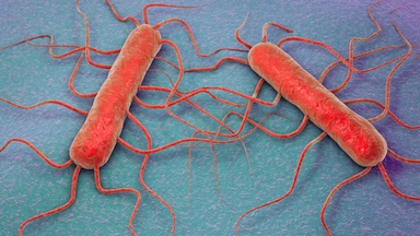 Ngộ độc Listeria là gì? Triệu chứng, nguyên nhân và cách phòng ngừa