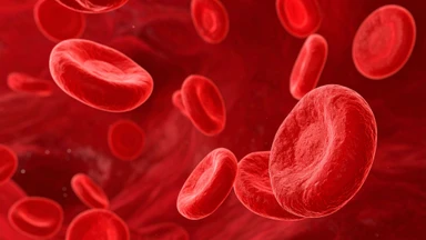Nguyên nhân bạch cầu tăng tiểu cầu giảm là gì? Những điều cần lưu ý