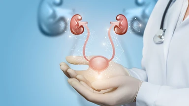 Nguyên nhân viêm đường tiết niệu và các yếu tố nguy cơ thường gặp