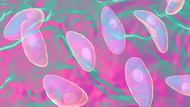Nhiễm Toxoplasma khi mang thai có nguy hiểm không?