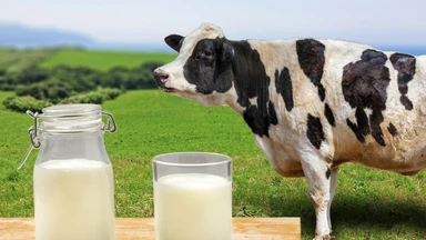 Nhóm thực phẩm gây dị ứng: 9 loại phổ biến và cách phòng tránh