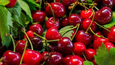 Nuốt hạt cherry có sao không? Hiểu rõ nguy cơ ngộ độc tiềm ẩn