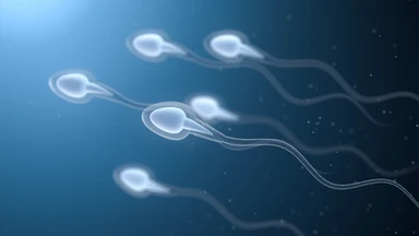 Nuốt tinh trùng có tác dụng gì? 7 điều bạn nên biết