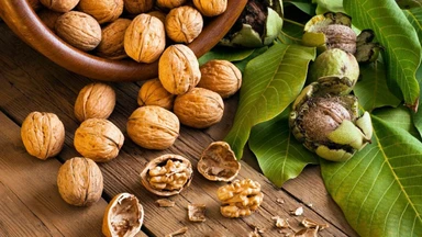 Omega-3 thực vật là gì? Lợi ích và cách bổ sung đúng khoa học