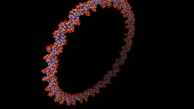 Plasmid là gì? Những đặc điểm và chức năng cần biết