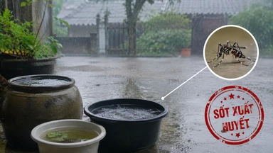 Sốt xuất huyết tăng mạnh mùa mưa