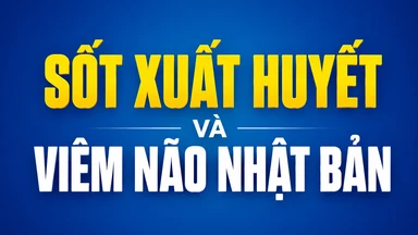 Sốt xuất huyết và viêm não Nhật Bản: Cách phân biệt và biện pháp phòng ngừa 