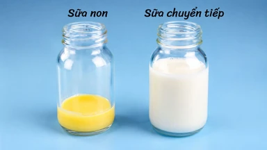 Sữa non là gì? Thành phần dinh dưỡng và công dụng đối với trẻ sơ sinh