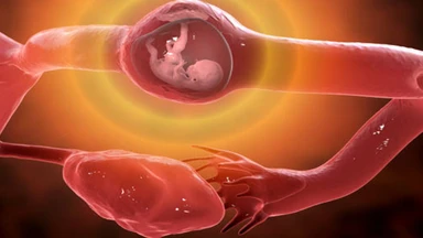 Thai ngoài tử cung có nguy hiểm không? Dấu hiệu nhận biết và cách xử trí