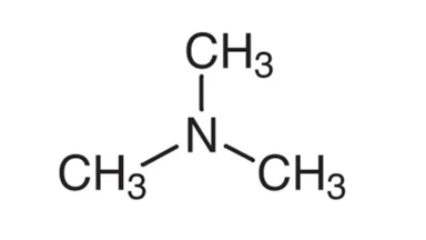 trimethylamine_1_3b7365924d