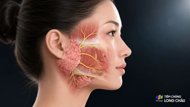 U tuyến nước bọt mang tai là gì? Nguyên nhân và cách điều trị 