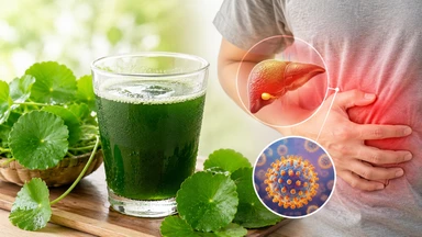 Viêm gan B có uống được nước rau má không? Lưu ý khi sử dụng