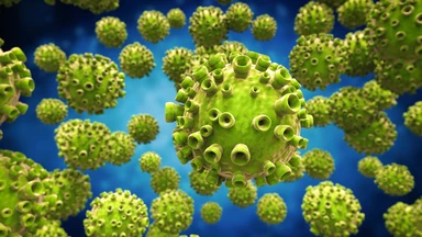 Virus cúm thay đổi ra sao trong nửa đầu năm 2026?