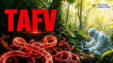 Virus Ebola rừng tai là gì? Nguồn gốc và triệu chứng