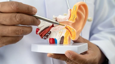 Xương chũm nằm ở đâu? Cấu tạo, chức năng và bệnh lý thường gặp