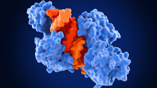 Enzyme là gì? Vai trò, cơ chế hoạt động và tầm quan trọng đối với cơ thể
