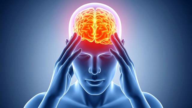 Cách tăng oxy lên não hiệu quả, vai trò của oxy đối với não bộ