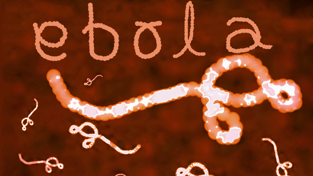 Virus Ebola là gì và lây lan qua những con đường nào?