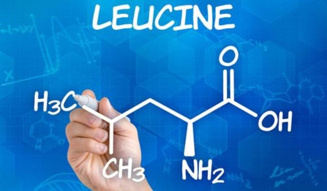 Leucine là gì? Tác dụng của leucine đối với cơ thể bạn nên biết