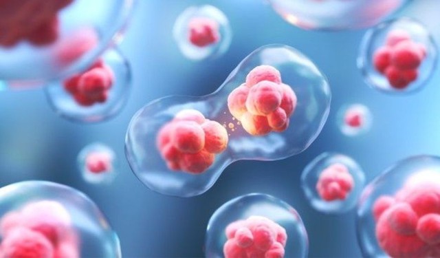 Lưu trữ tế bào gốc là gì? Các nguồn tế bào gốc có thể sử dụng