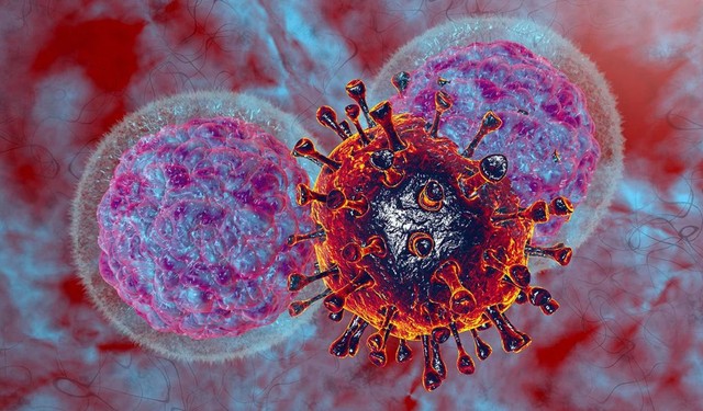 Tế bào NK là gì? Vai trò của tế bào này trong hệ miễn dịch