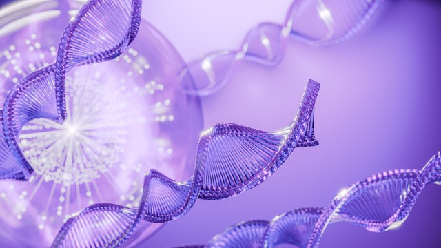 Telomere là gì? Vai trò, cơ chế rút ngắn và ý nghĩa lão hóa