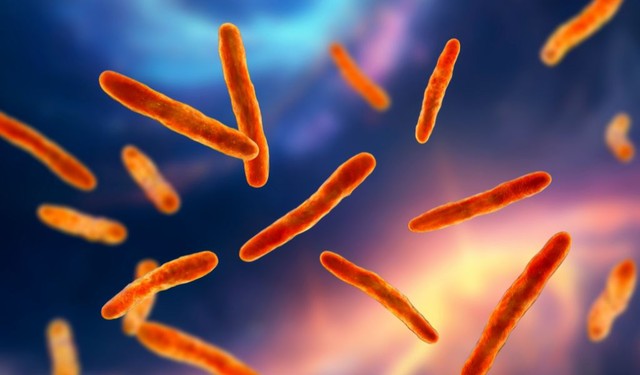 Vi khuẩn Mycobacterium leprae và những ảnh hưởng đến sức khỏe