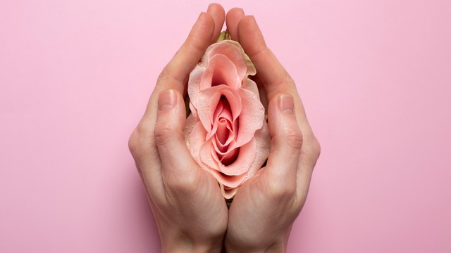 Âm hộ: Cấu tạo, chức năng và những vấn đề thường gặp