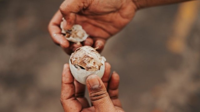 Ăn trứng vịt lộn có tốt không? Lợi ích và giá trị dinh dưỡng của trứng vịt lộn