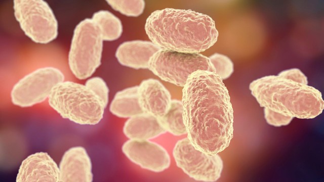 Bạch cầu lympho tăng: Nguyên nhân, triệu chứng và cách điều trị