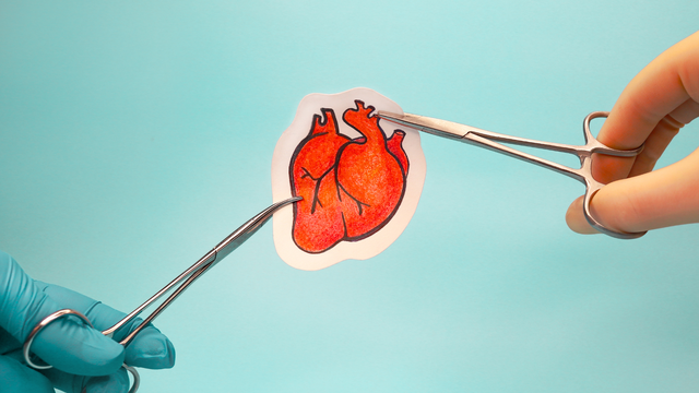 Hở van tim 2 lá là gì? Nguyên nhân, cách chẩn đoán, điều trị và phòng ngừa