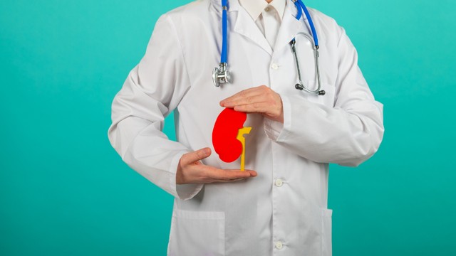 Suy thận mạn là gì? Nguyên nhân và cách phòng ngừa hiệu quả