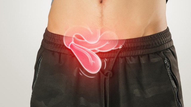 Thoát vị bẹn là gì? Nguyên nhân, triệu chứng, cách điều trị và phòng ngừa