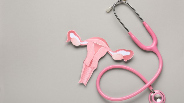 Tử cung đôi là gì? Nguyên nhân và phương pháp điều trị hiệu quả