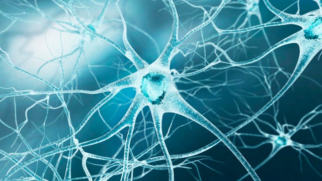 U xơ thần kinh là gì? Những điều cần biết về u xơ thần kinh