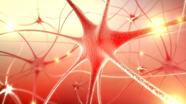 Viêm dây thần kinh là gì? Nguyên nhân, triệu chứng và cách phòng ngừa hiệu quả