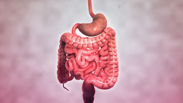 Bệnh Crohn: Từ nguyên nhân đến cách phòng ngừa và điều trị