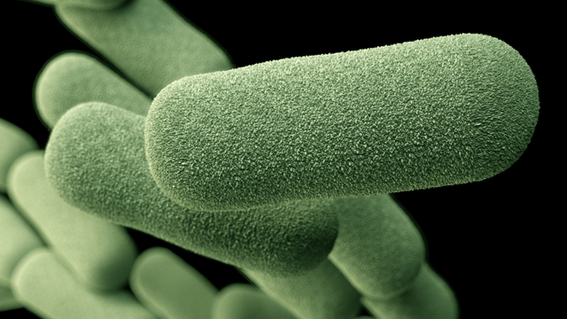 Tìm hiểu biến chứng bệnh do HIB và cách phòng ngừa hiệu quả