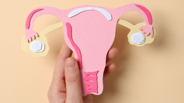 Buồng trứng bình thường có bao nhiêu nang? Giải thích chi tiết và chính xác